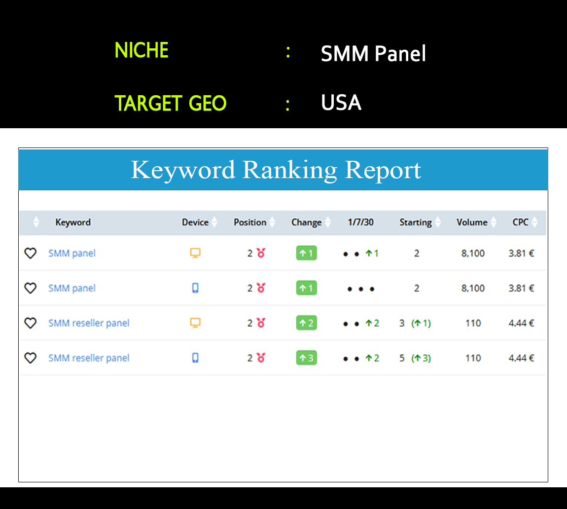 Case Study: SMM Panel - Social Media USA